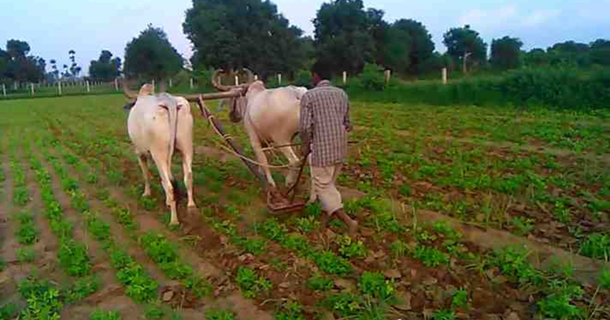 Now the arbitrary action of the Circle Officer will not be t