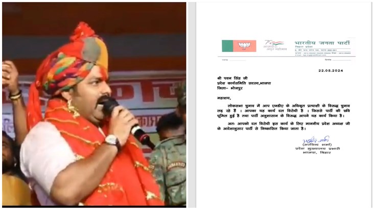 BJP expelled Bhojpuri star Pawan Singh from the party, what BJP expelled Bhojpuri star Pawan Singh from the party, what
