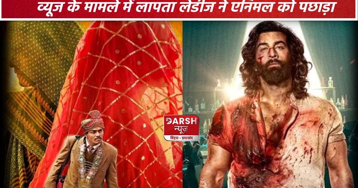 Laapataa Ladies Beats Animal