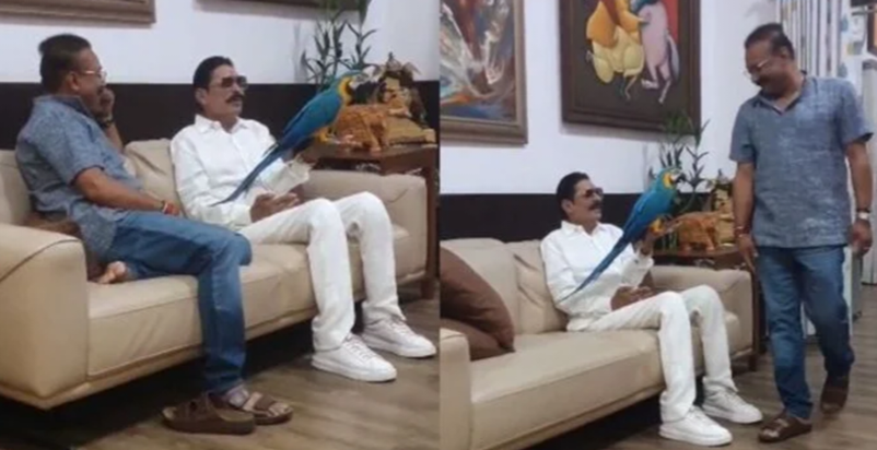 Bahubali EX MLA Anant Singh was seen playing with a parrot Bahubali EX MLA Anant Singh was seen playing with a parrot