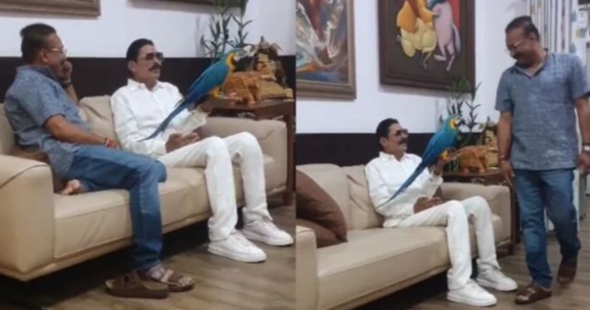 Bahubali EX MLA Anant Singh was seen playing with a parrot