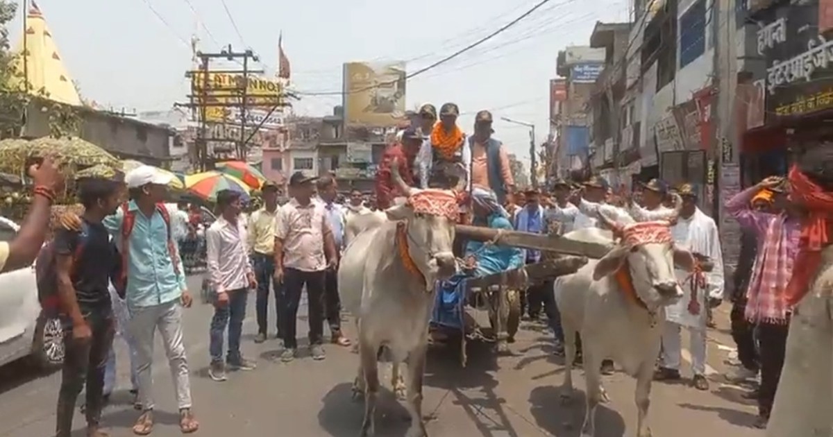 Ajab gajab Some reached on a bullock cart, some with a garla
