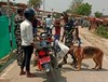 संदिग्ध पाकिस्तानी की तलाश में नेपाल बॉर्डर पर सर्च ऑपरेशन..