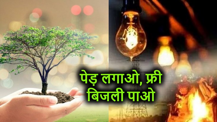 You will get free electricity if you plant trees in the stat You will get free electricity if you plant trees in the stat