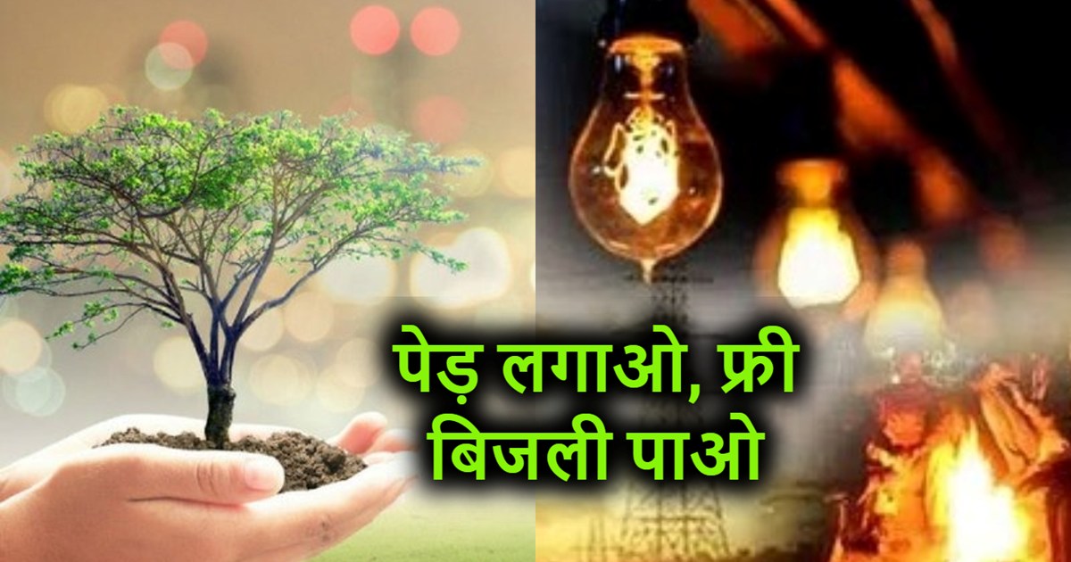 You will get free electricity if you plant trees in the stat