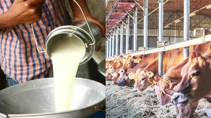 Good news for farmers, they will not have to bear losses on 