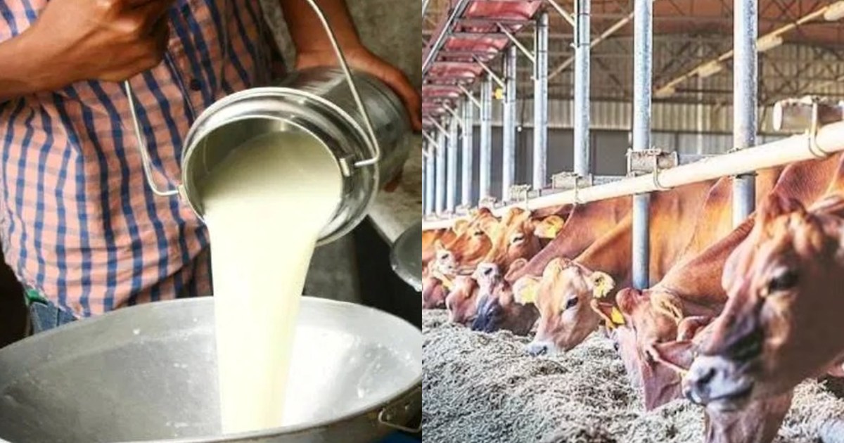 Good news for farmers, they will not have to bear losses on 