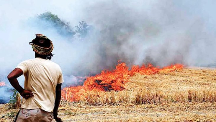 Government's order issued for farmers, 'If stubble is burnt,