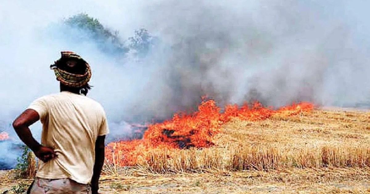 Government's order issued for farmers, 'If stubble is burnt,