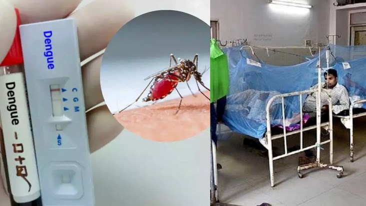 Figures of dengue patients are scaring, the pace is not stop