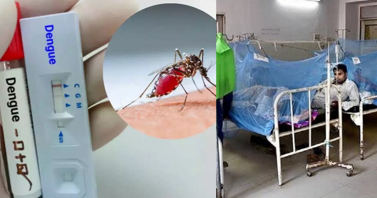 Figures of dengue patients are scaring, the pace is not stop