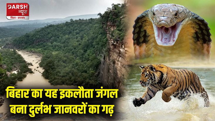 valmiki nagar tiger ereserve forest becomes king-cobra-tiger