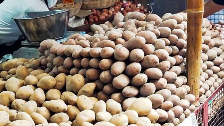 West Bengal bans potato export