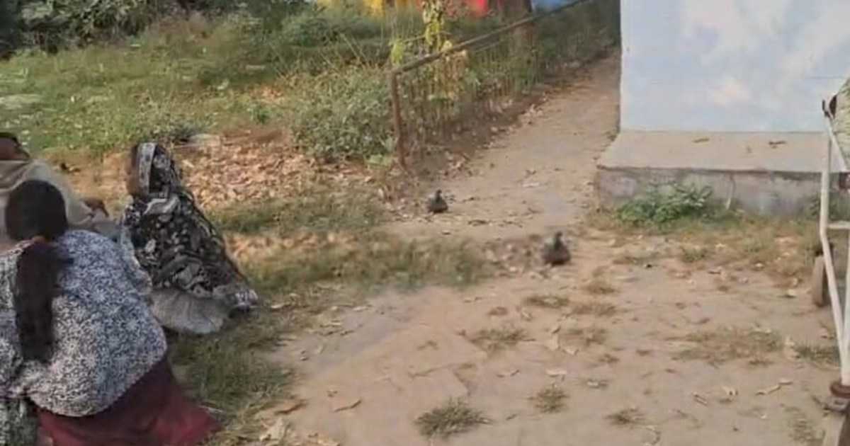 A young man going home was shot dead in Saran