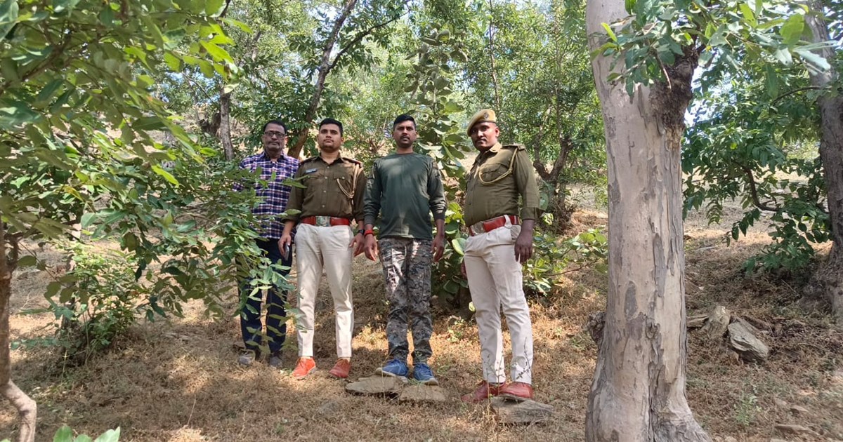 Mad jackal creates terror in Gaya, injures many people by bi