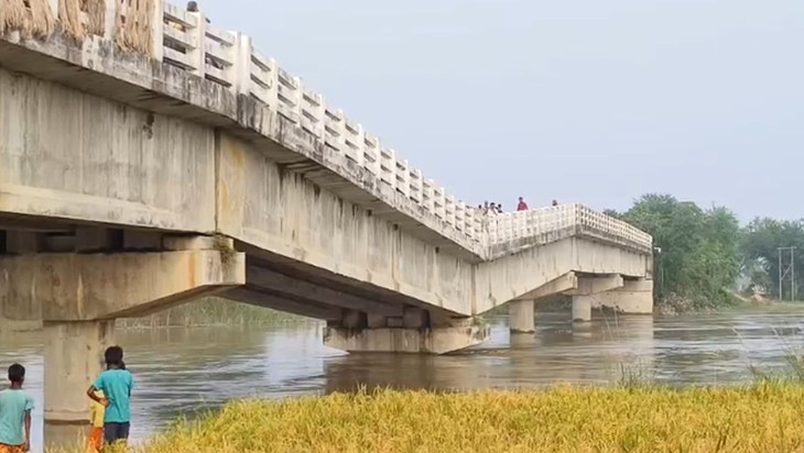 The bridge collapsed as soon as the contractor's 5-year guar
