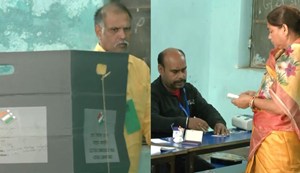 I don't care which lions are fighting.