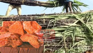 If you want to start a jaggery industry in Bihar, the state government will provide subsidy.