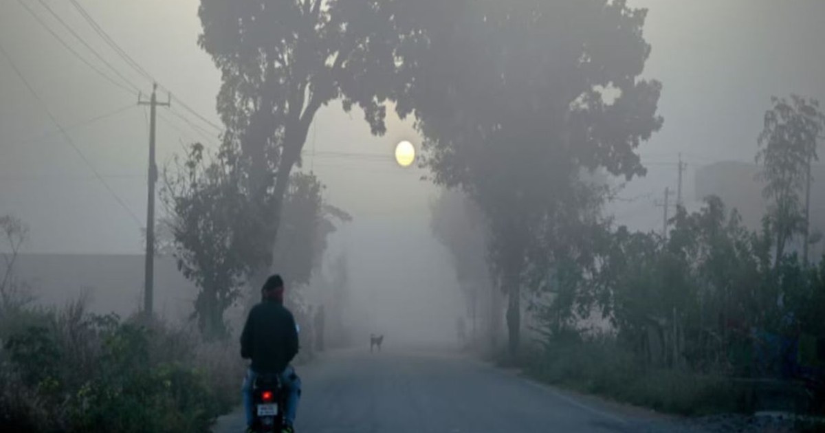 If you haven't taken out your sweater yet