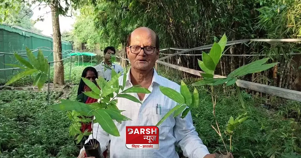 bihar-indias-first-lab-where-sweet-bamboo-is-being-prepared-
