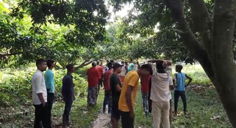 A woman's body was found in a garden bustling with sex worke