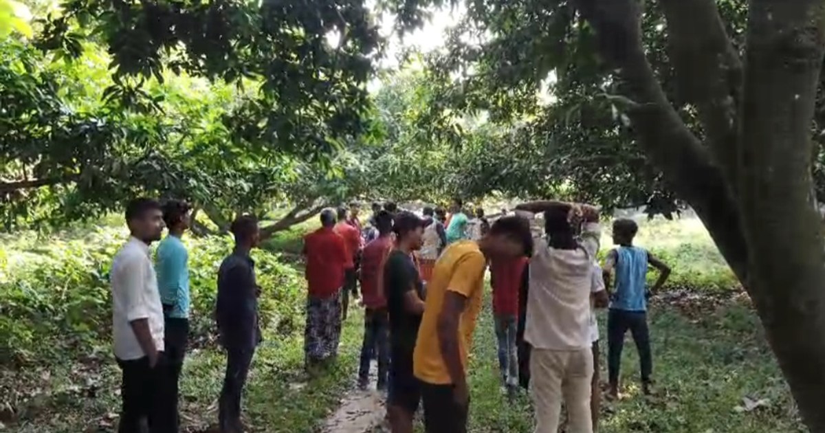 A woman's body was found in a garden bustling with sex worke