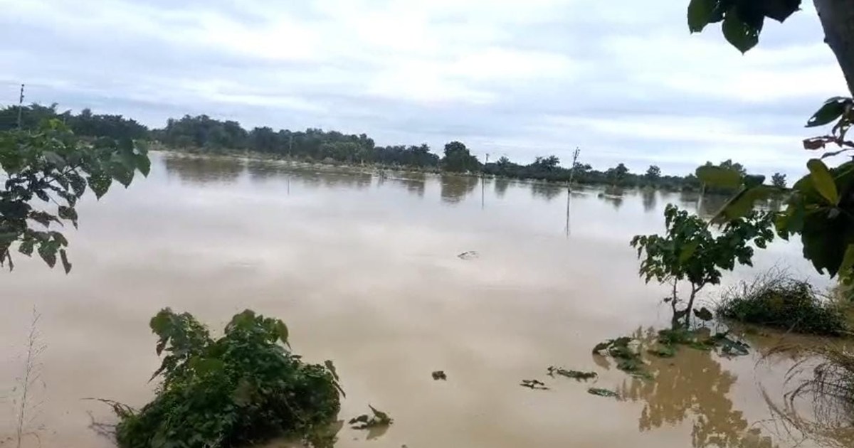 Due to heavy rains, the embankment on the Sikta river broke.