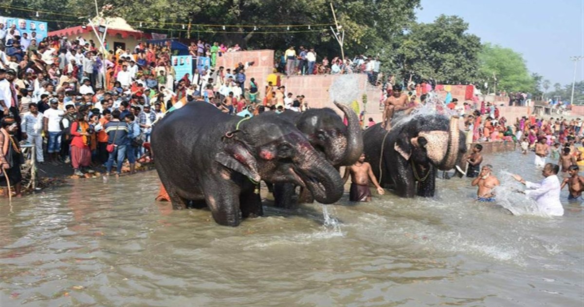 The world-famous Sonepur Fair will be inaugurated on this da