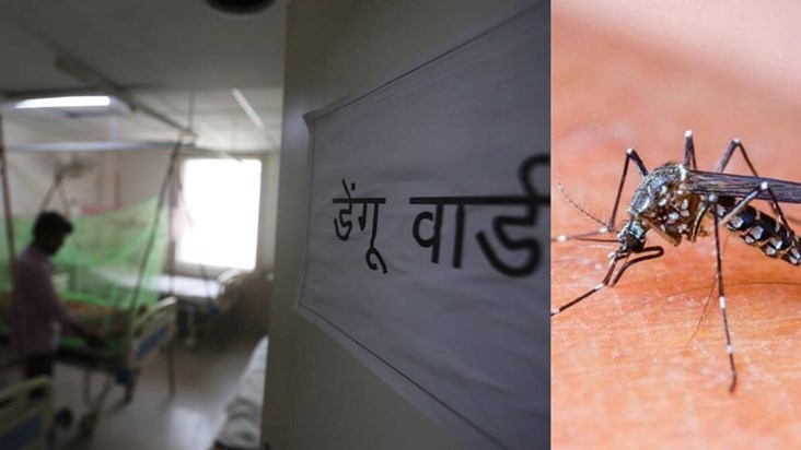 Stay away from dengue, know its symptoms and ways to avoid i