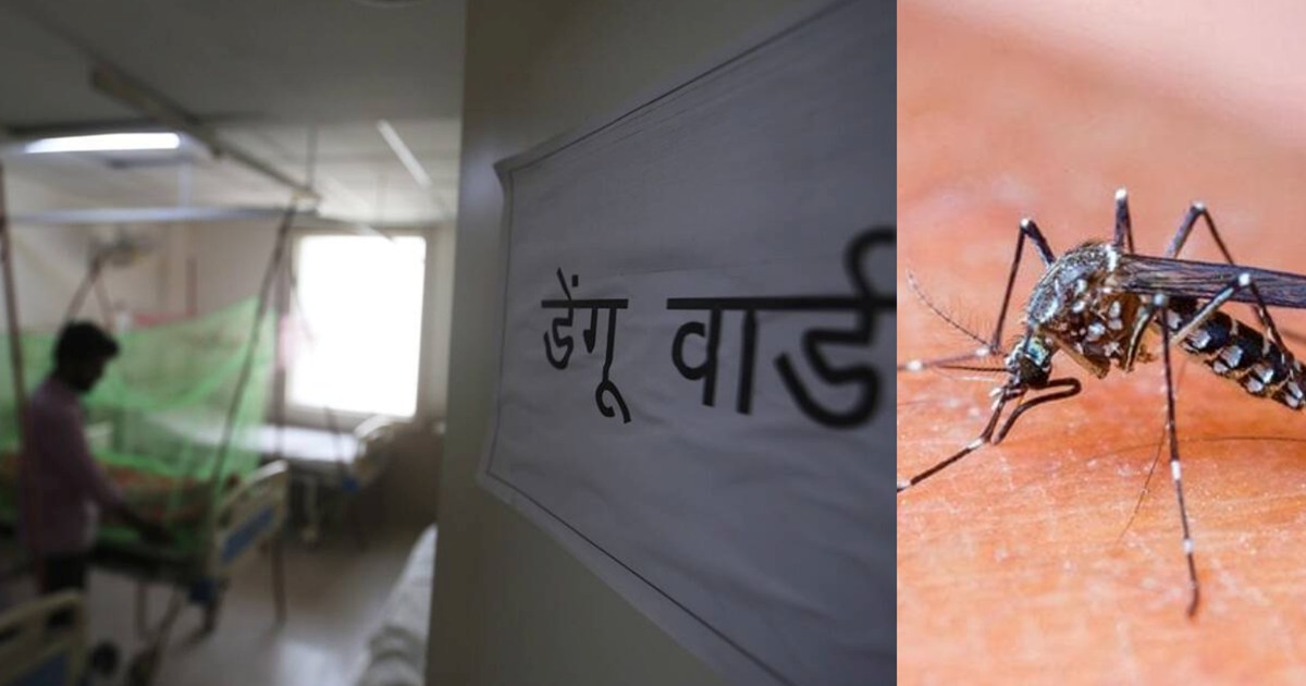 Stay away from dengue, know its symptoms and ways to avoid i