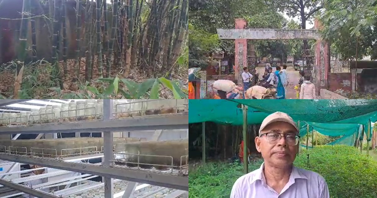 Bihar's important and ambitious scheme tissue culture lab is