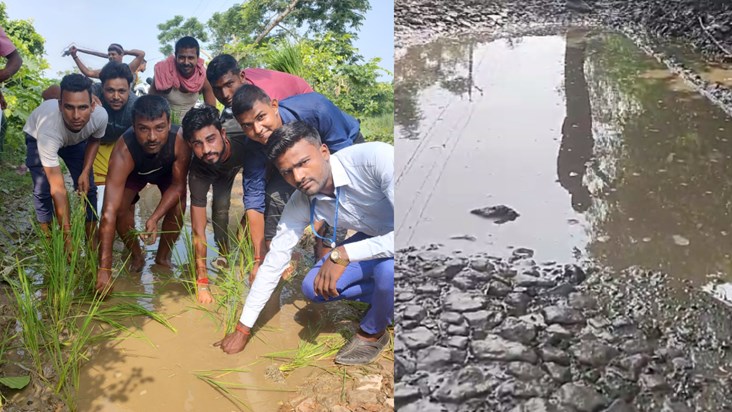 When the road was not built, planted paddy in the frozen pit