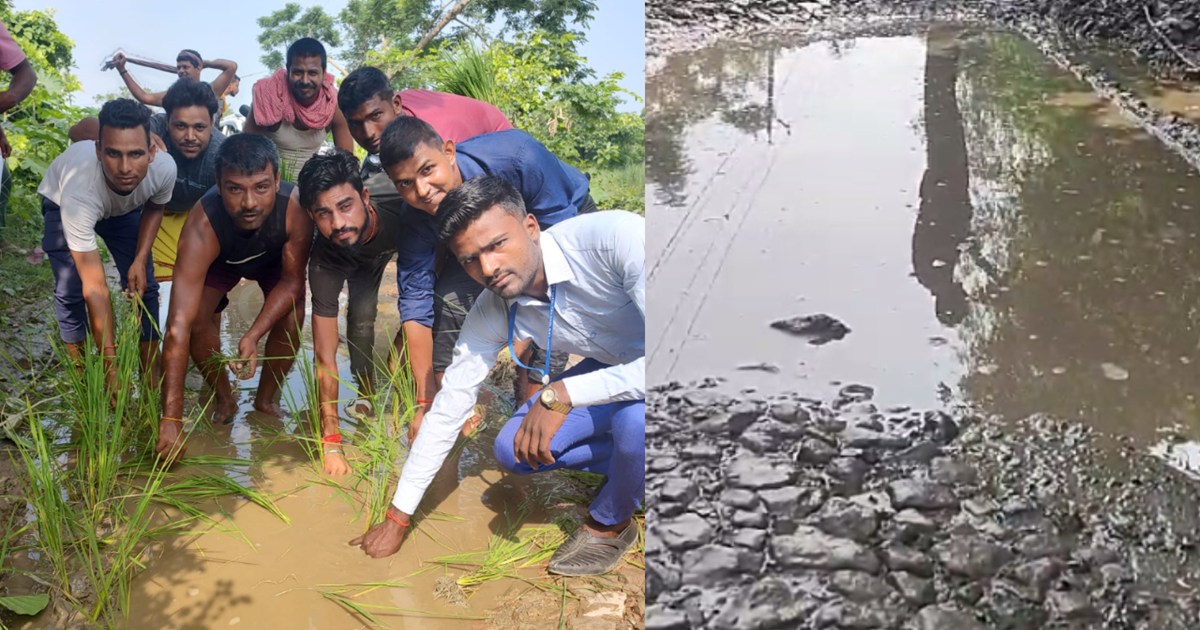 When the road was not built, planted paddy in the frozen pit