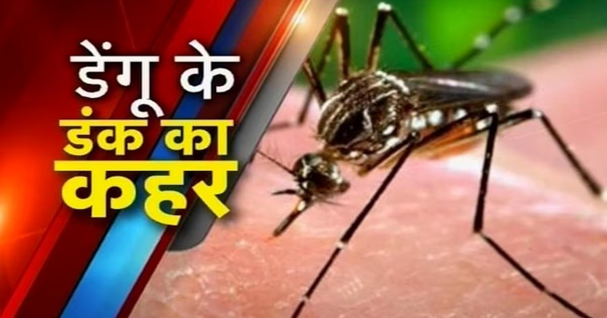 It has become difficult to avoid the sting of dengue, the fi