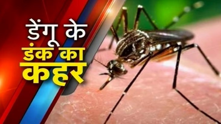 It has become difficult to avoid the sting of dengue, the fi It has become difficult to avoid the sting of dengue, the fi