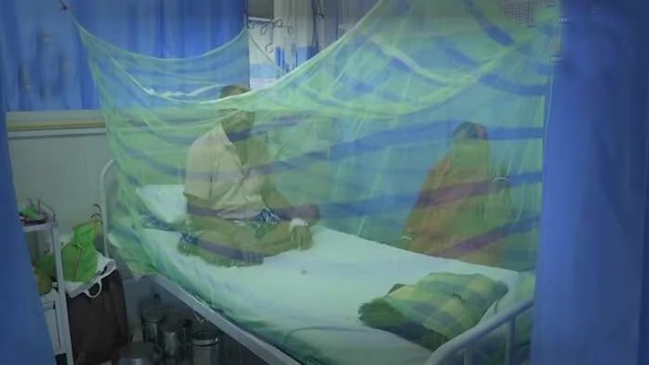 dengue-cases-increase-health-department-creating-separate-wa