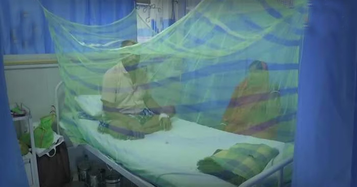 dengue-cases-increase-health-department-creating-separate-wa