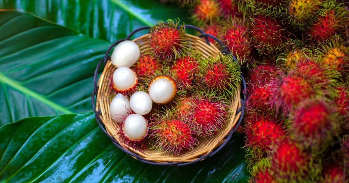rambutan-fruit-once-again-in-the-news-amid-the-nipah-outbrea
