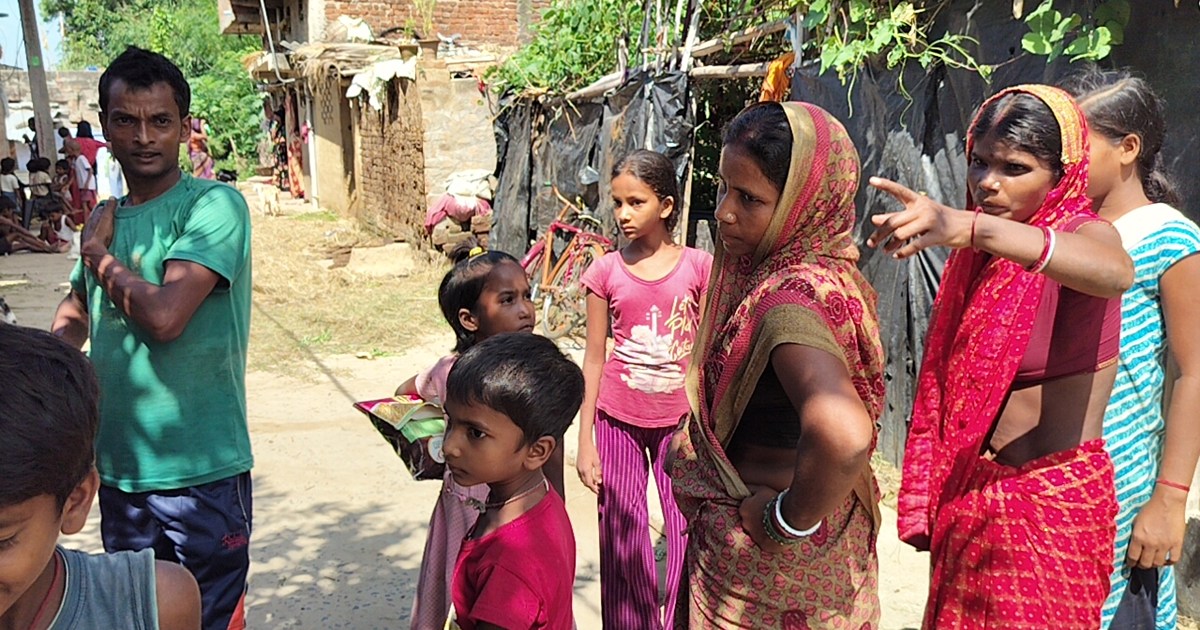 14 people fell ill after eating wild roof vegetable instead 