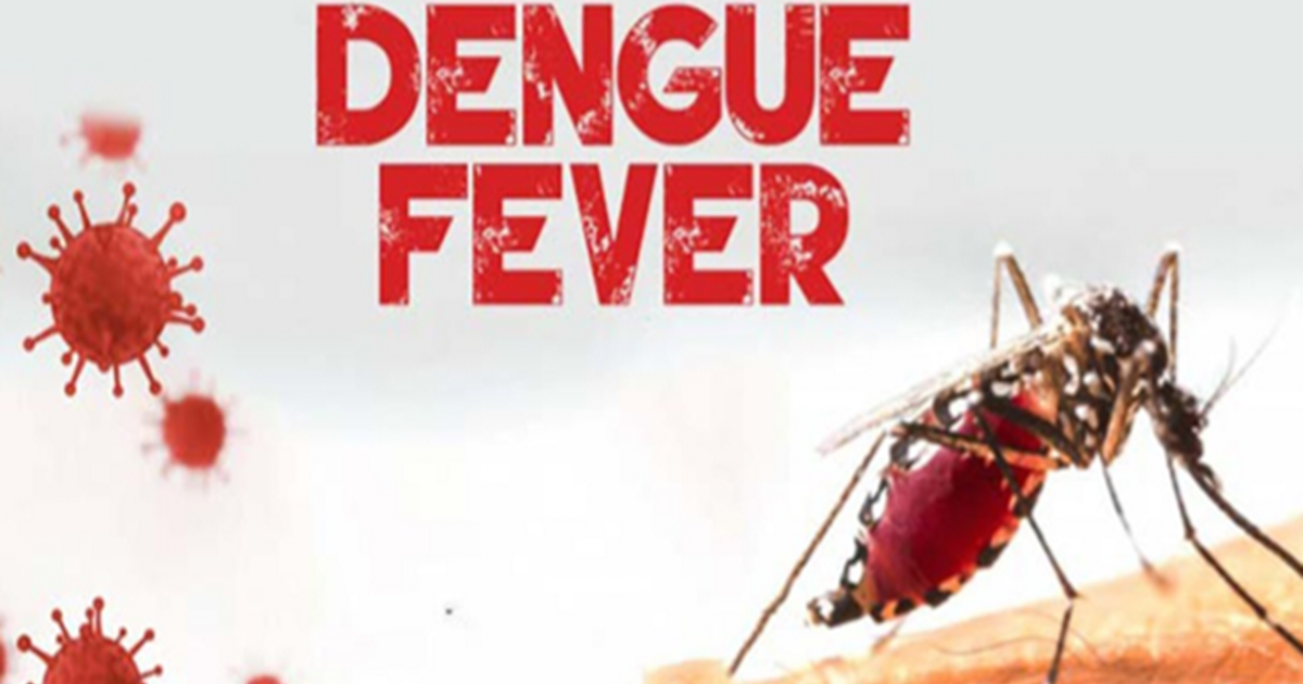 Caution: Dengue is increasing in the entire Bihar including 