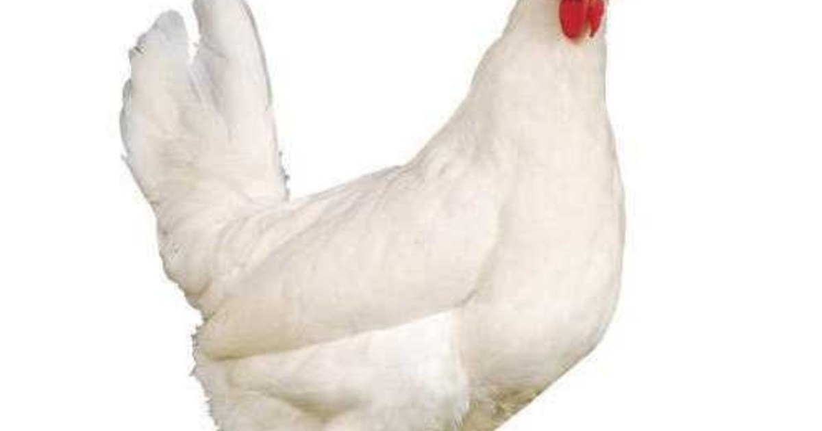 In Saharsa, a shopkeeper was shot dead in a dispute over a c