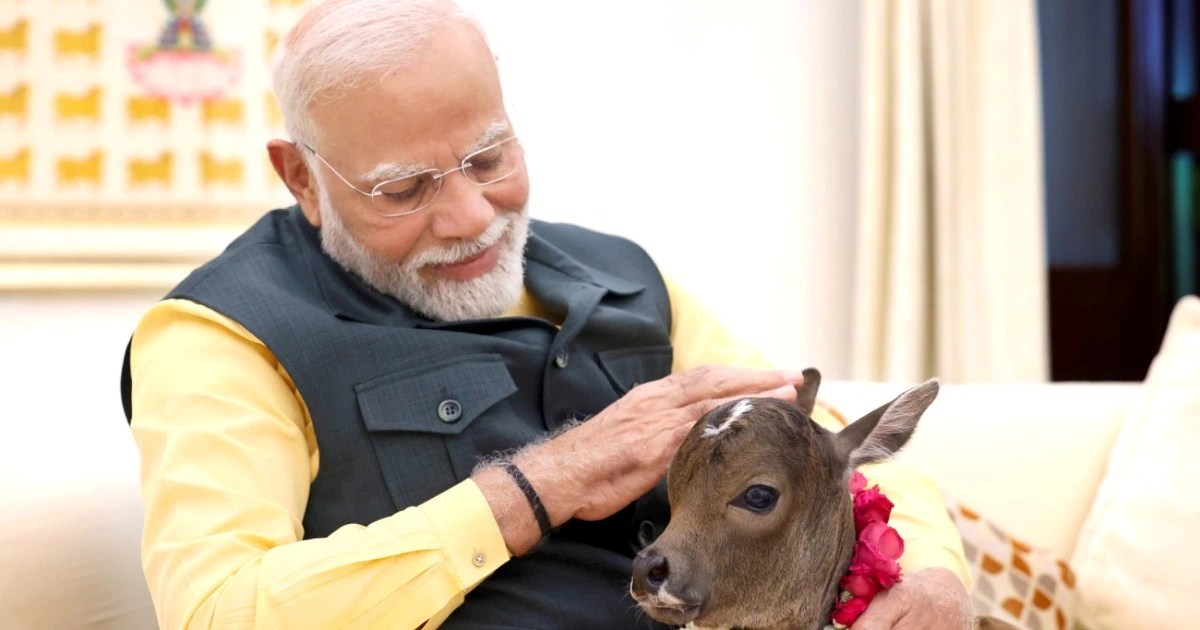 'Deepjyoti' came to PM Modi's house, Prime Minister shared b