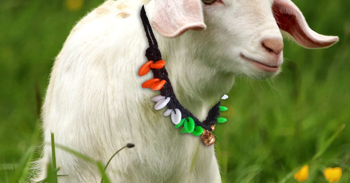 What kind of justice! The court's decision came after 36 yea