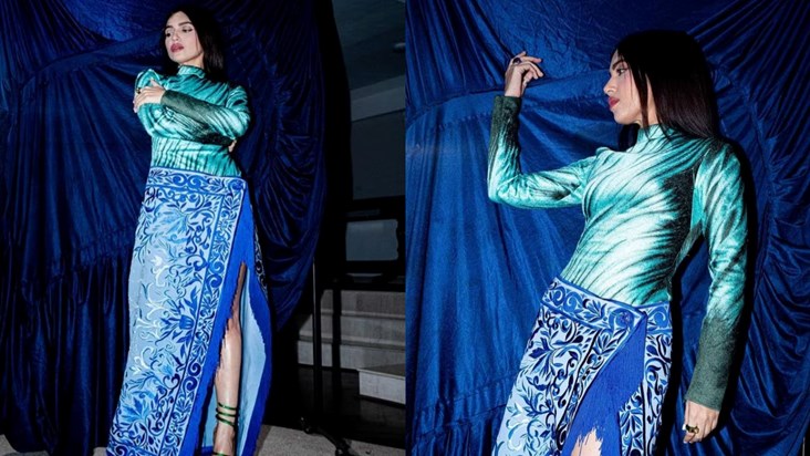 Bhumi Pednekar's look is going viral, seen in carpet style s