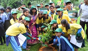 Three and a half lakh saplings will be planted in Bihar in 15 days.