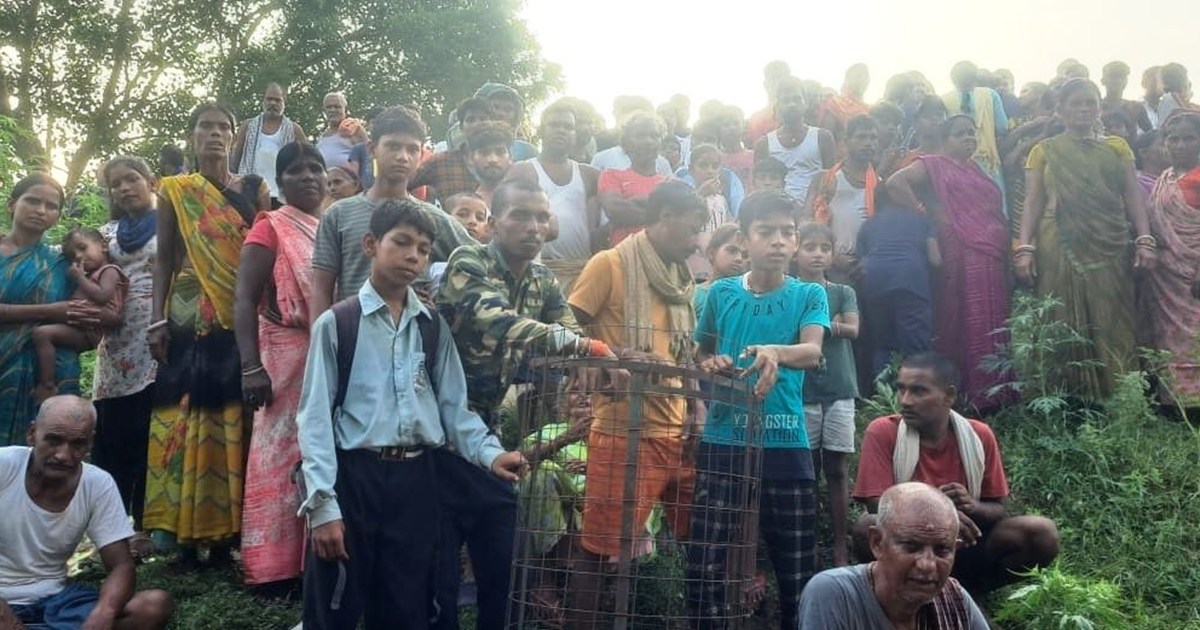 First he hit an old man with his e-rickshaw, then