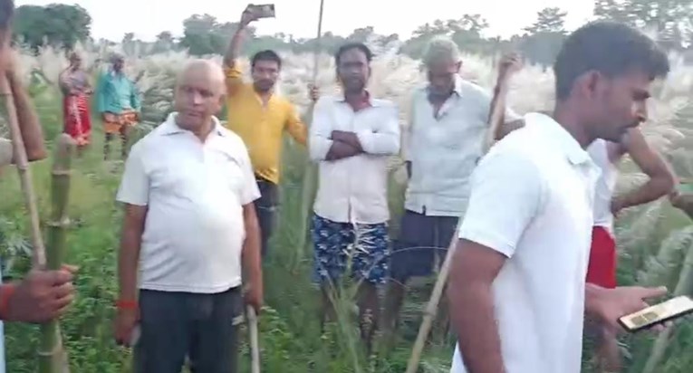 Tiger came out of Valmikinagar Tiger Reserve Tiger came out of Valmikinagar Tiger Reserve