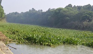 The importance of 'wetlands' is increasing for environmental crisis