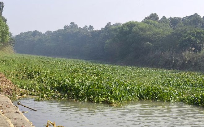 The importance of 'wetlands' is increasing for environmental The importance of 'wetlands' is increasing for environmental
