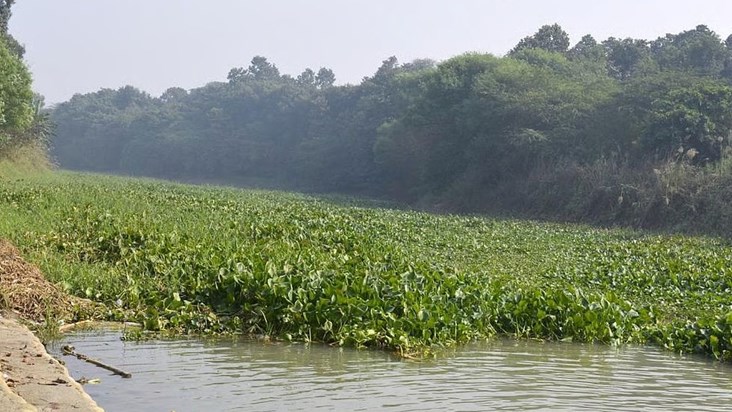 The importance of 'wetlands' is increasing for environmental